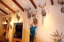 Trophy room design gallery