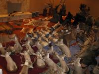 Trophy room design gallery