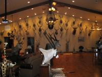 Trophy room design gallery