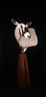 Safari Life Taxidermy