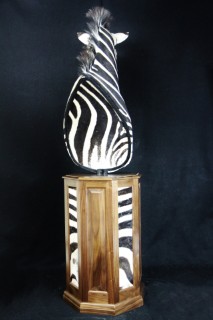 Safari Life Taxidermy