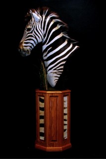 Safari Life Taxidermy