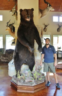 Safari Life Taxidermy