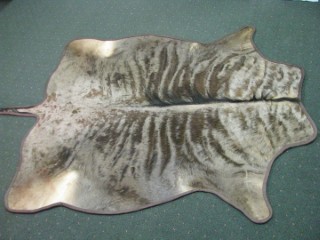 Safari Life Taxidermy