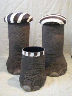 Safari Life Taxidermy