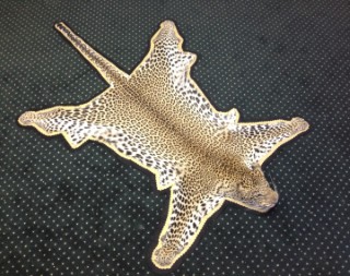 Safari Life Taxidermy