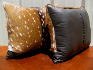 Safari Life Taxidermy