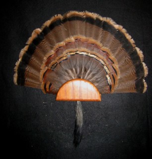 Safari Life Taxidermy