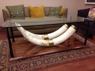 Safari Life Taxidermy