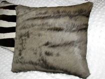 Safari Life Taxidermy