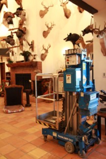 Safari Life Taxidermy