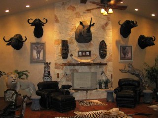 Safari Life Taxidermy