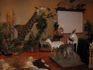 Safari Life Taxidermy