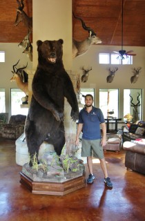 Safari Life Taxidermy