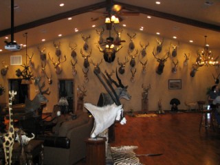 Safari Life Taxidermy