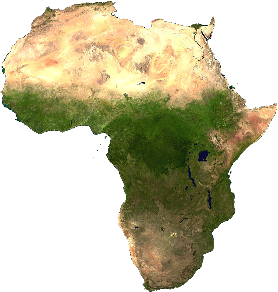 Safari Life Taxidermy